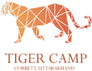 Tiger Camp